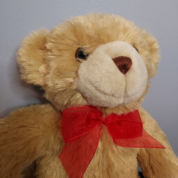 Build A Bear Teddy St.Louis Cardinals 2006 Inaugural Season SGA 11" Plush - Picture 5 of 10